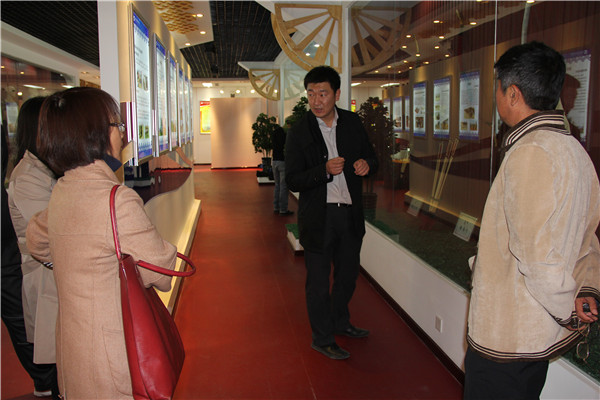 泰国东南亚3D彩票