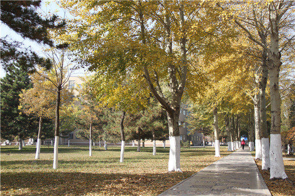 泰国东南亚3D彩票