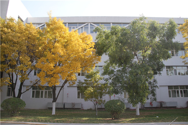 泰国东南亚3D彩票