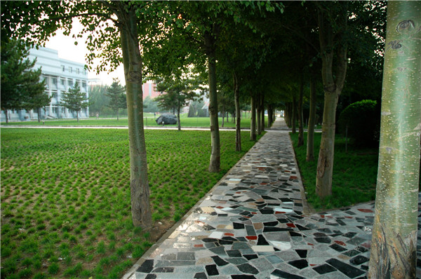 泰国东南亚3D彩票