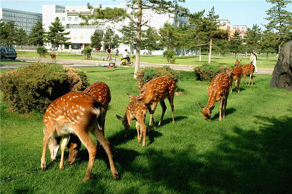 泰国东南亚3D彩票