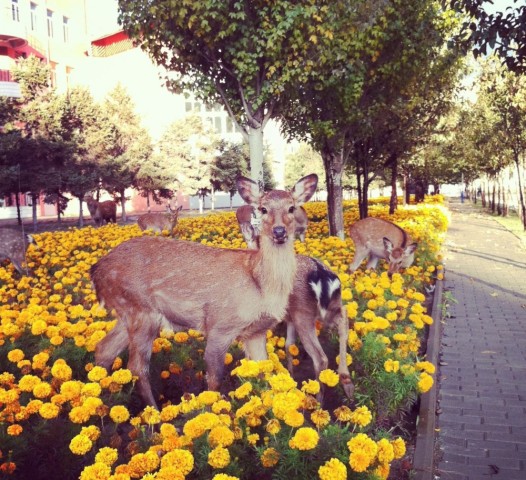 泰国东南亚3D彩票