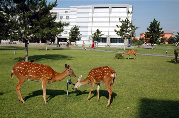 泰国东南亚3D彩票