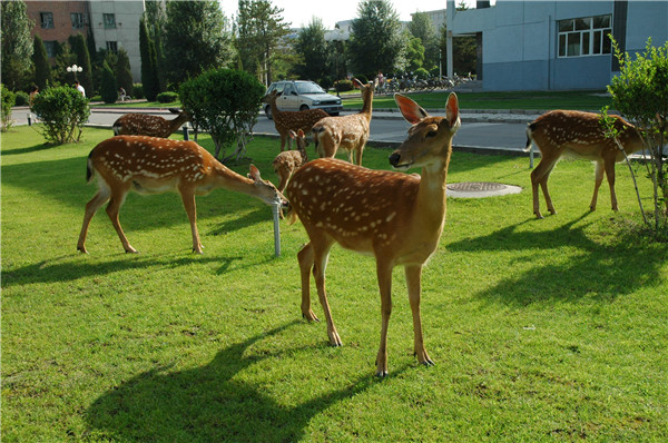 泰国东南亚3D彩票