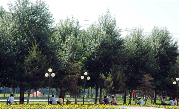 泰国东南亚3D彩票