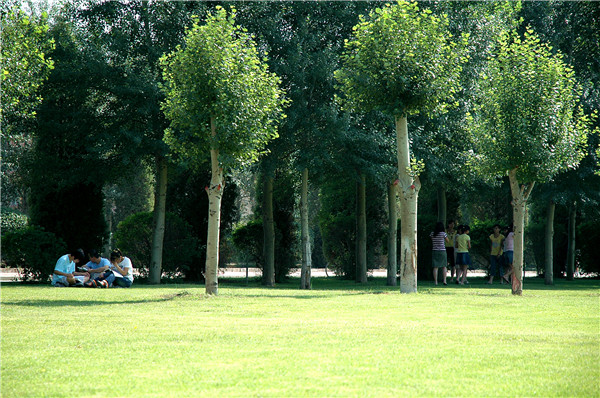 泰国东南亚3D彩票