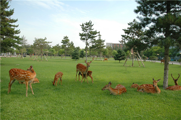 泰国东南亚3D彩票