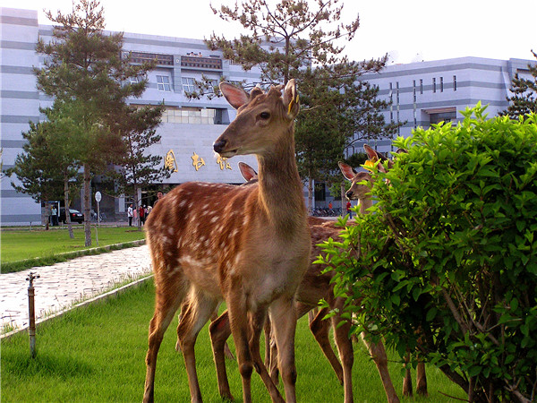 泰国东南亚3D彩票