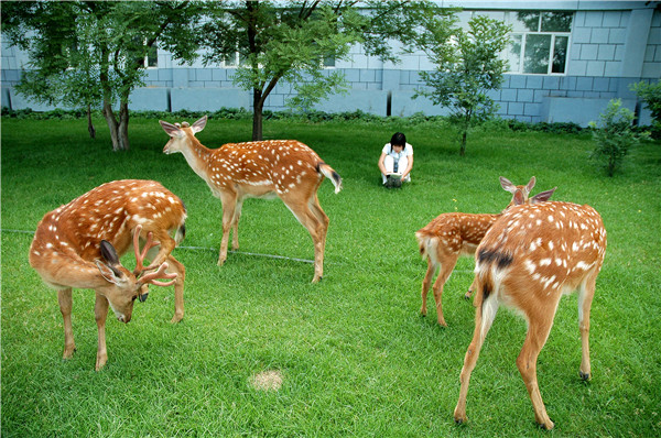 泰国东南亚3D彩票