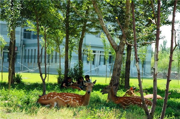 泰国东南亚3D彩票