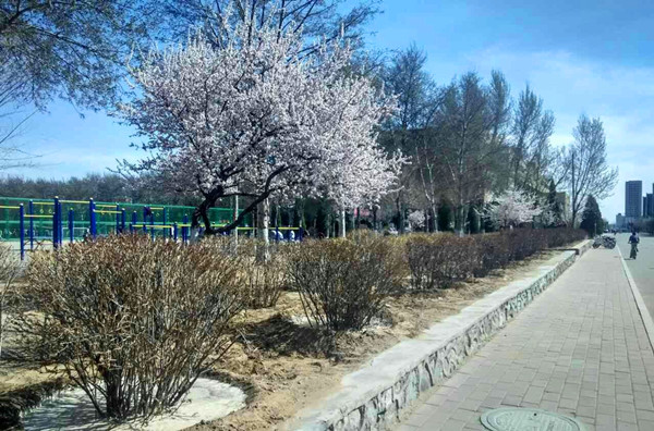 泰国东南亚3D彩票