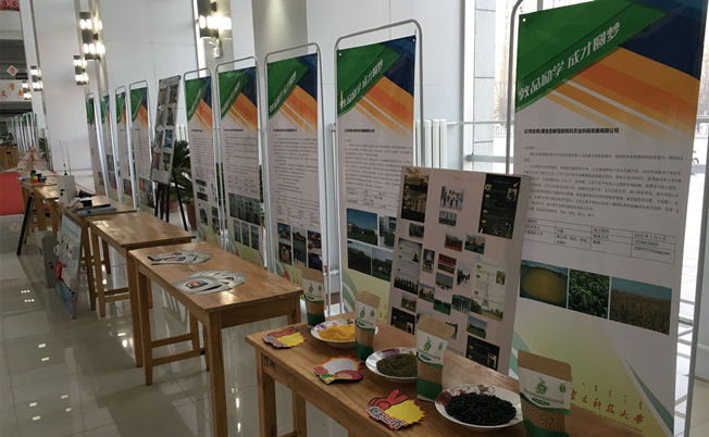 泰国东南亚3D彩票