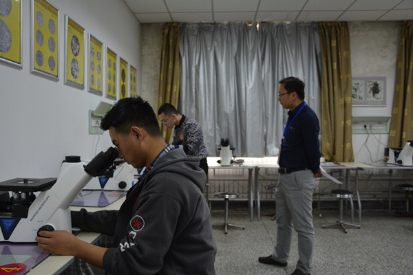 泰国东南亚3D彩票