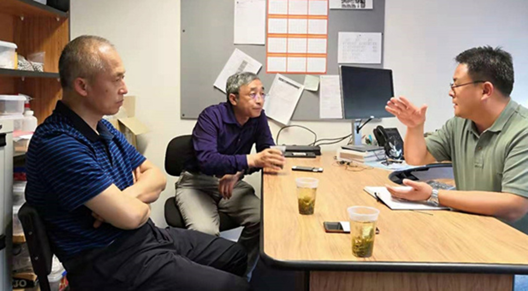 泰国东南亚3D彩票