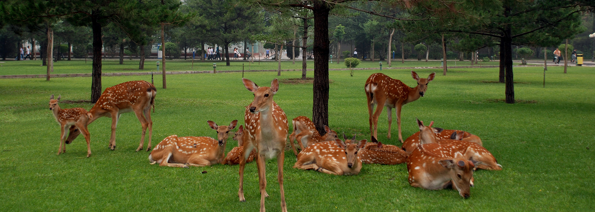 泰国东南亚3D彩票